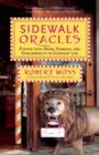 Sidewalk Oracles : Playing with Signs, Symbols, and Synchronicity in Everyday Life - Book
