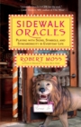 Sidewalk Oracles : Playing with Signs, Symbols, and Synchronicity in Everyday Life - eBook