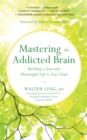 Mastering the Addicted Brain : Building a Sane and Meaningful Life to Stay Clean - eBook