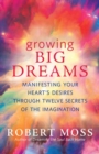 Growing Big Dreams : Manifesting Your Heart's Desires Through Twelve Secrets of the Imagination - Book