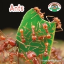 Ants - eBook