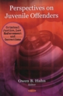 Perspectives on Juvenile Offenders - Book