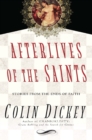 Afterlives of the Saints - eBook