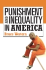 Punishment and Inequality in America - eBook