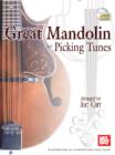 Great Mandolin Picking Tunes - eBook