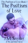 The Positions of Love - eBook