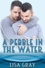A Pebble in the Water - eBook