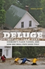 Deluge - Book