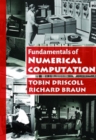 Fundamentals of Numerical Computation - Book