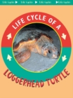 Loggerhead Turtle - eBook