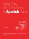 What They Didn't Teach You In Spanish Class : Slang Phrases for the Cafe, Club, Bar, Bedroom, Ball Game and More - Book