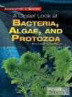 A Closer Look at Bacteria, Algae, and Protozoa - eBook