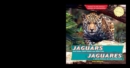 Jaguars and Other Latin American Wild Cats / Jaguares y otros felinos de Latinoamerica - eBook