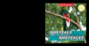 Quetzals and Other Latin American Birds / Quetzales y otras aves de Latinoamerica - eBook