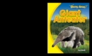 Giant Anteater - eBook