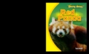 Red Panda - eBook