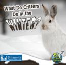 What Do Critters Do in the Winter? - eBook