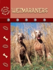 Weimaraners - eBook