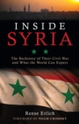 Inside Syria : The Backstory of Their Civil War and What the World Can Expect - Book
