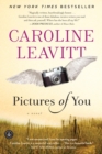 Pictures of You - eBook