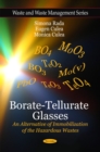 Borate-Tellurate Glasses : An Alternative of Immobilization of the Hazardous Wastes - Book