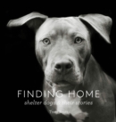 Finding Home : Shelter Dogs and Their Stories - Book