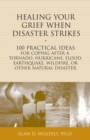 Healing Your Grief When Disaster Strikes : 100 Practical Ideas for Coping After a Tornado, Hurricane, Flood, Earthquake, Wildfire, or Other Natural Disaster - Book