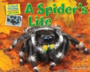 A Spider's Life - eBook