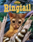 Ringtail - eBook