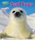 Seal Pups - eBook