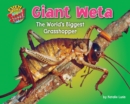 Giant Weta - eBook