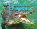 Saltwater Crocodile - eBook