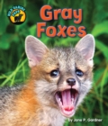Gray Foxes - eBook