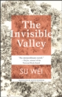 The Invisible Valley : a novel - Book