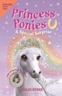 Princess Ponies 7: A Special Surprise - eBook