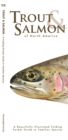 Trout & Salmon : A Folding Pocket Guide to North American Salmonids - Book