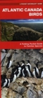 Atlantic Canada Birds : A Folding Pocket Guide to Familiar Species - Book