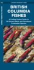 British Columbia Fishes : A Folding Pocket Guide to All Known Native and Introduced Freshwater Species - Book