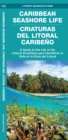 Caribbean Seashore Life (Criaturas del Litoral Caribeno) : A Guide to the Life in the Littoral Zone (Bilingual) - Book