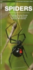 Spiders : A Folding Pocket Guide to Familiar Species Worldwide - Book