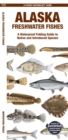 Alaska Freshwater Fishes : A Folding Guide to Native and Introduced Species - Book