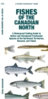 Fishes of the Canadian North : A Waterproof Folding Guide to Native and Introduced Freshwater Species of the Northwest Territories, Nunavut and Yukon - Book