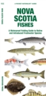 Nova Scotia Fishes : A Folding Guide to Native and Introduced Freshwater Species - Book