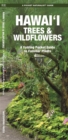 Hawai'i Trees & Wildflowers : A Folding Pocket Guide to Familiar Plants - Book