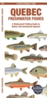 Quebec Freshwater Fishes : A Waterproof Folding Guide to Native and Introduced Species - Book