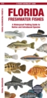 Florida Freshwater Fishes : A Waterproof Folding Guide to Native and Introduced Species - Book