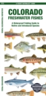 Colorado Freshwater Fishes : A Folding Guide to Native and Introduced Species - Book