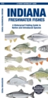 Indiana Freshwater Fishes : A Waterproof Folding Guide to Native and Introduced Species - Book