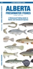 Alberta Freshwater Fishes : A Waterproof Folding Guide to Native and Introduced Species - Book