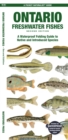 Ontario Fishes : A Folding Pocket Guide to All Known Native and Introduced Freshwater Species - Book